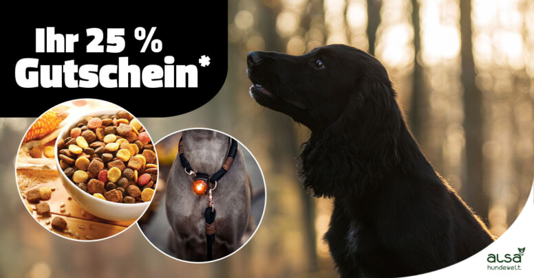 Alsa Hundewelt Black Friday 2025