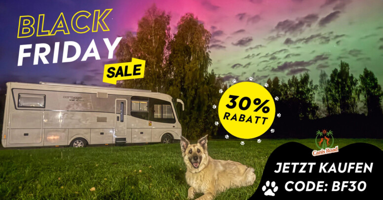 Canis Road Black Friday 2024