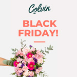 Blumen zum Black Friday – Entdecke jetzt das Angebot von Colvin und erhalte 25% Rabatt