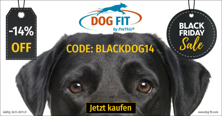 dog fit black friday 2021