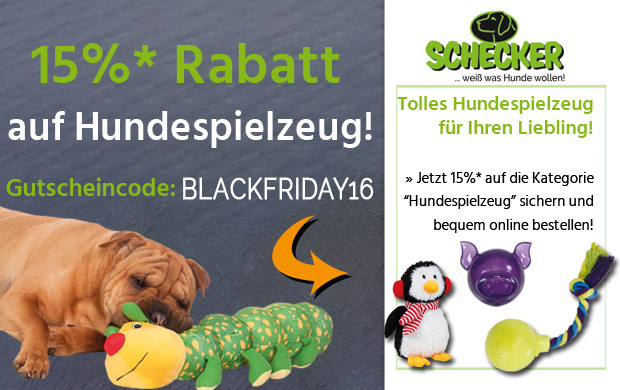 schecker_black-friday-2016