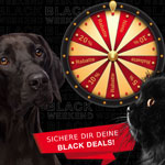 Jetzt Glücksrad drehen und tolle Black Weekend Deals bei Tackenberg einlösen