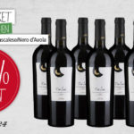 Nur heute 40% Nachlass auf das Aktionspaket mit 6 Flaschen Rotwein bei Vineshop24